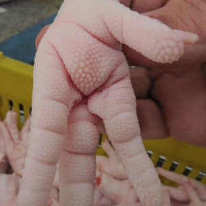 Frozen Chicken Paw 30g Up