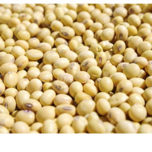 Soya beans