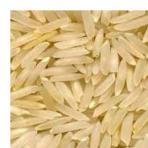 1121 Brown Rice