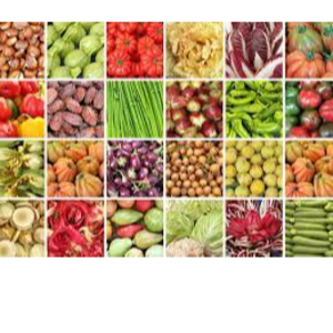 Agricultural Products