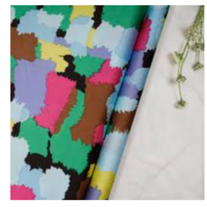 Multicolor Printed Imported Fabric