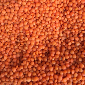 Lentils