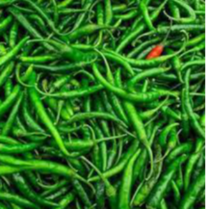 GREEN CHILLY(G4)