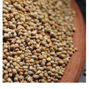 BAJRA