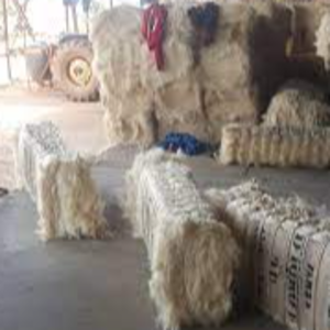 Ug Sisal Fiber