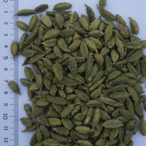 Organic Cardamom Bold Green