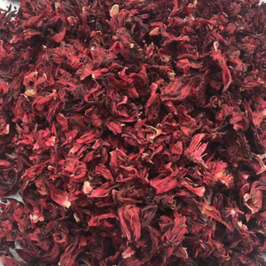 Hibiscus Flower