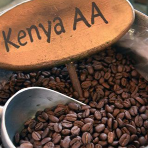 ROBUSTA and ARABICA COFFEE BEANS
