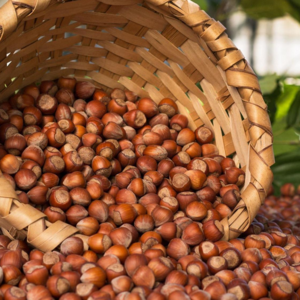 Hazelnut