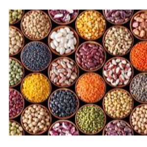 Pulses