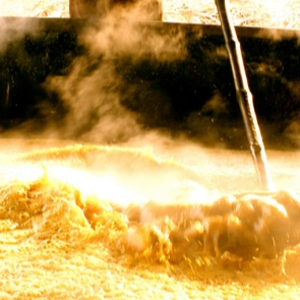 NATURAL JAGGERY