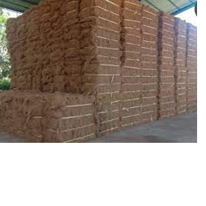 Coco Fiber