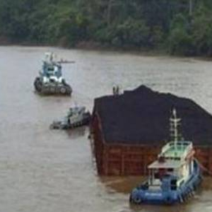 Steam Coal Commodity NCV 5500 Kcal/Kg