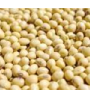 Soya beans