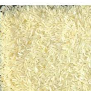 SONA MASURI  rice