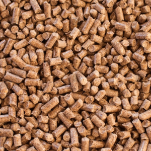 Biomass Pellets