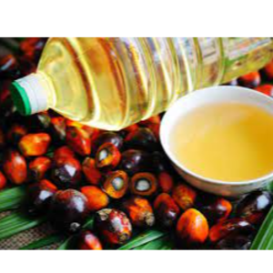 Palm Oil