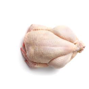 chickens