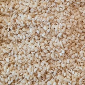 Sesame