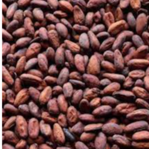 CACAO BEANS