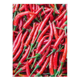 .RED CHILI PEPPERS AND ISOT