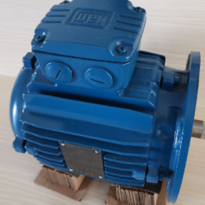 150KW WEG Motor