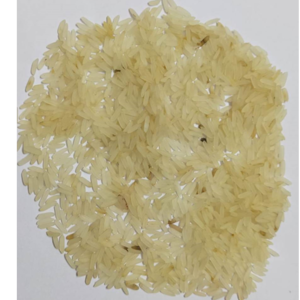 Sona mukhi rice