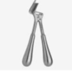 Plaster/Shears