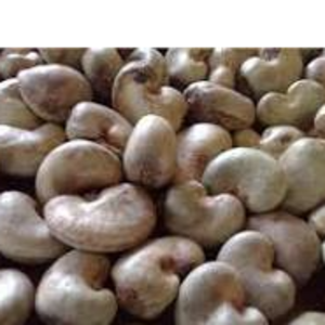 RAW CASHEW NUT