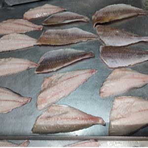 Frozen fish Morocco