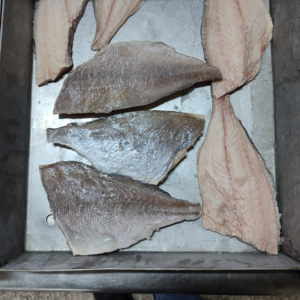 Fish fillets
