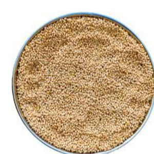 Cuttlefish millet