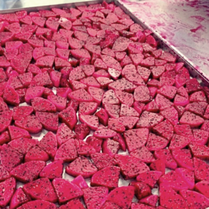 Elevate Your Snack Game With Our High-Quality, Freeze-Dried Dragon Fruit Cubes