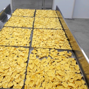 Stay Fresh for Longer - Freeze Dried Jackfruit from FruitBuys Vietnam with Shelf Life of 12 Months without Preservatives.