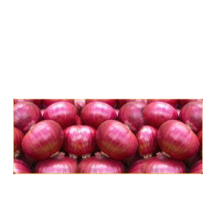 onions