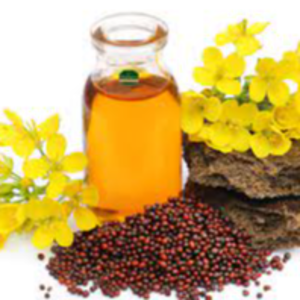 Mustered oil