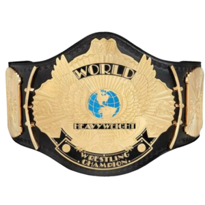 Champion Ship Belts