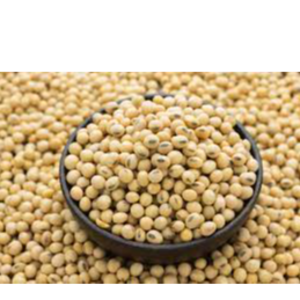 Soybeans(GMO, NON- GMO)