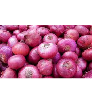 Onion
