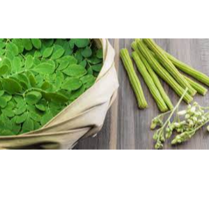 Moringa
