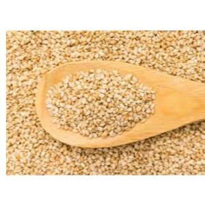 Sesame Seeds