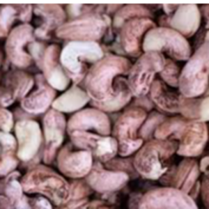 Cashew