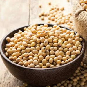 Soybean