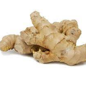 Ginger