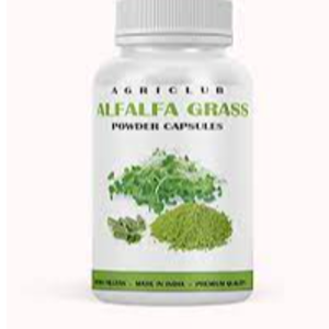 ALFALFA – POWDER, CAPSULE, TABLET.