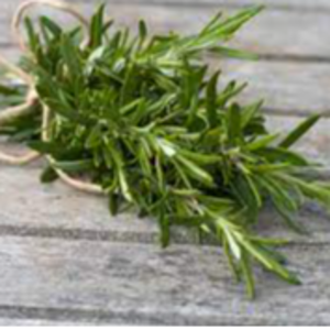 ROSEMARY