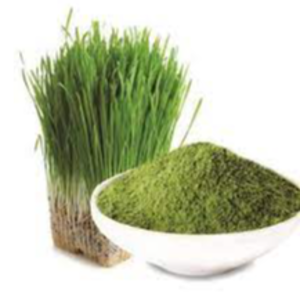 BARLEY GRASS POWDER
