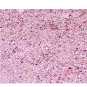 DEHYDRATED PINKONION GRANULES