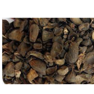 Palm kennel  Shells (PKS}