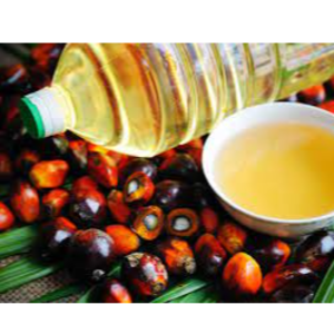 Palm Oil